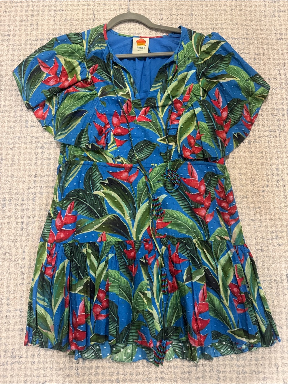 FARM Rio Blue Dress with Red Floral & Green Leaves